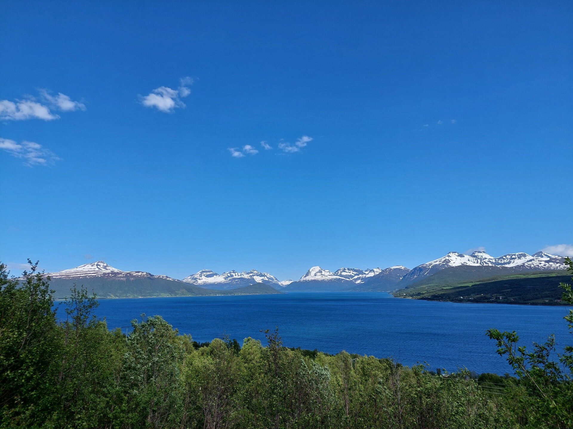 20220618_103655.jpg