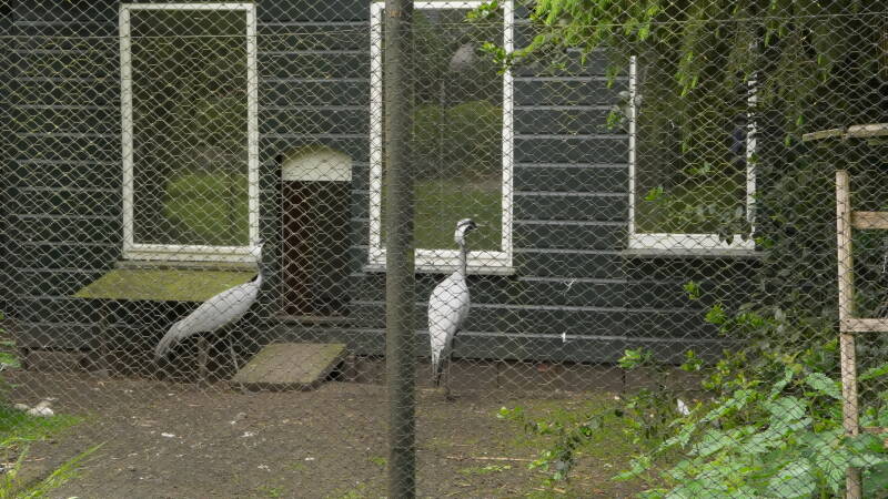 dsc03155-standard.jpg