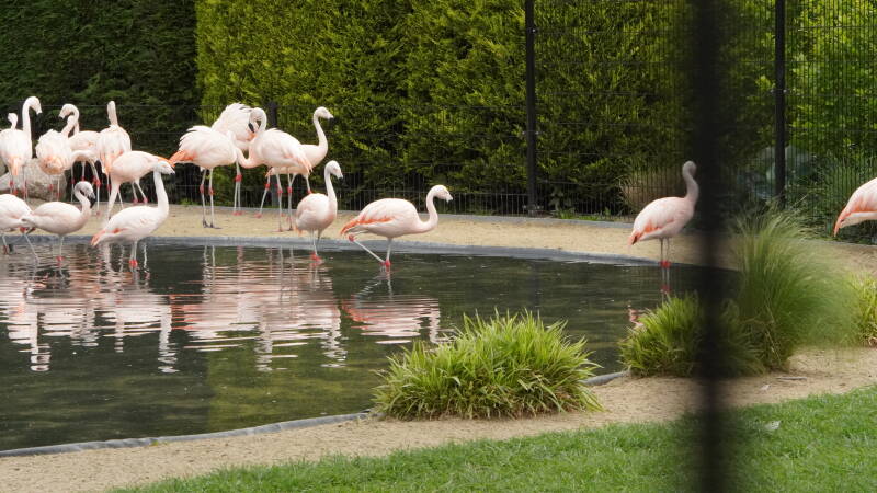 dsc03195-standard.jpg