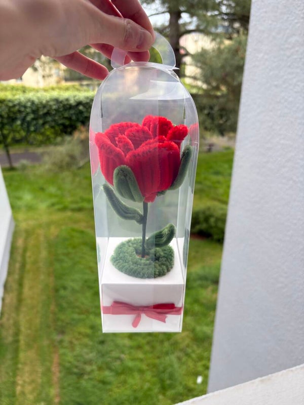 Fleurs sous boite