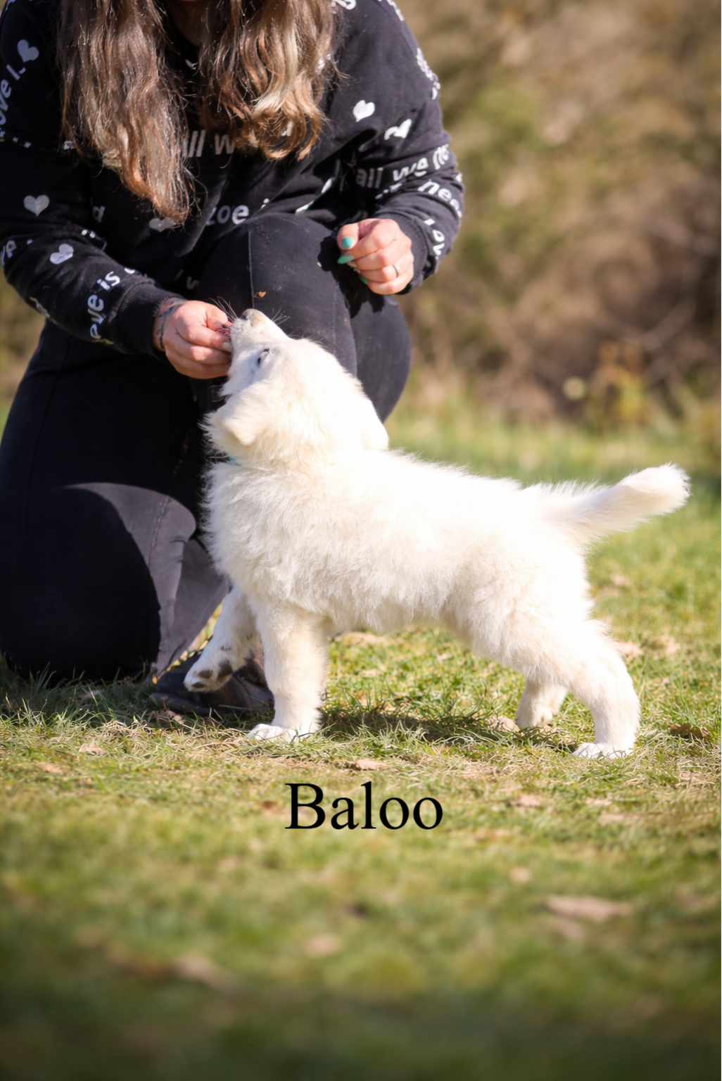 Baloo