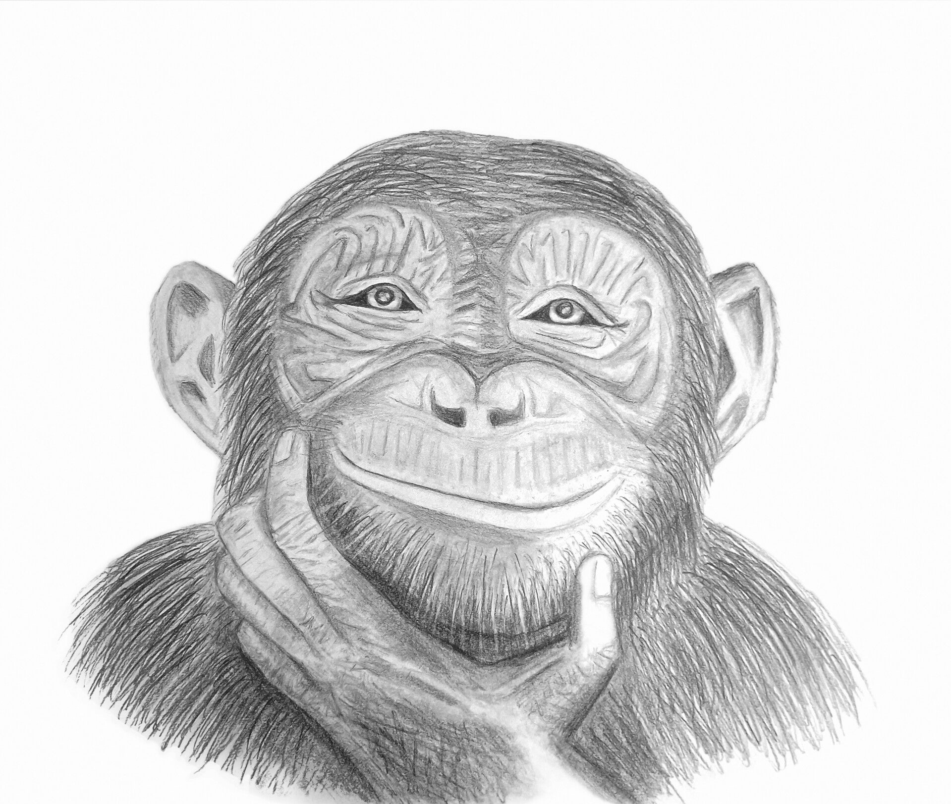 A Musing Chimpanzee