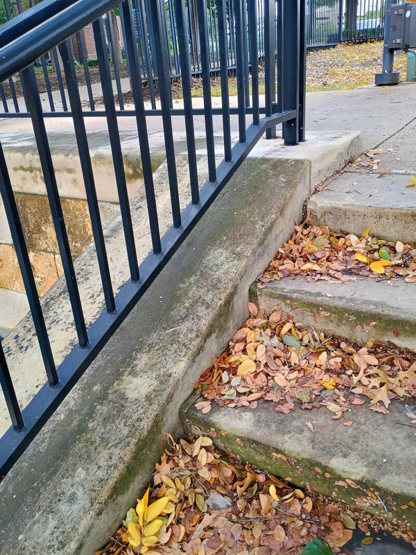 Autumn's Steps