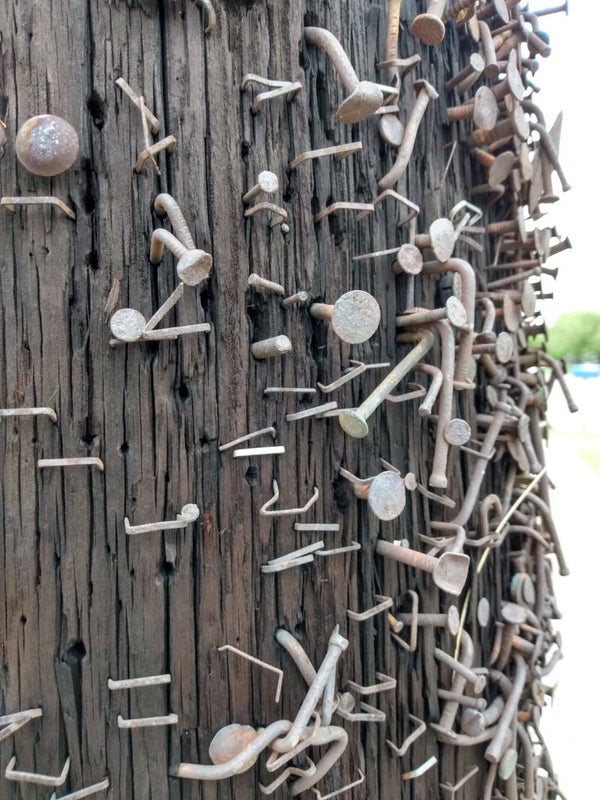 Nails in Wood