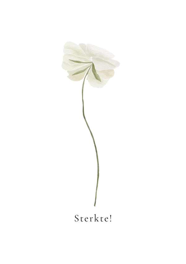 Sterkte Wit