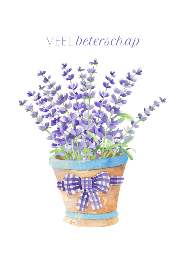 Lavendel beterschap