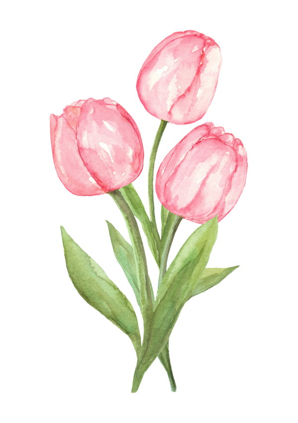 Bos tulpen