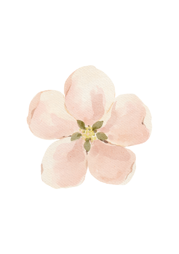 Appelbloesem
