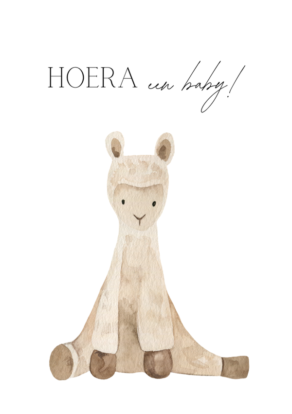 Hoera een baby!