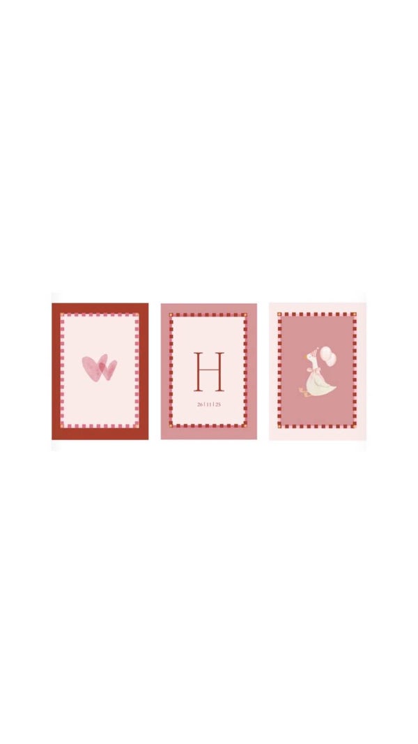 Set Roze gans
