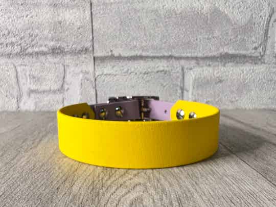 Biothane Halsband 2 Farbig 32-36cm
