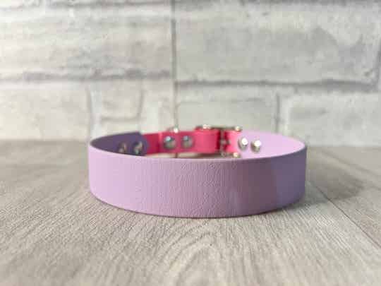 Biothane Halsband 2 Farbig 39-42cm