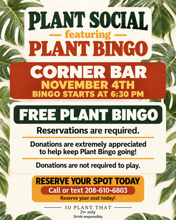 Corner Bar Plant Bingo Free 11-4-2026