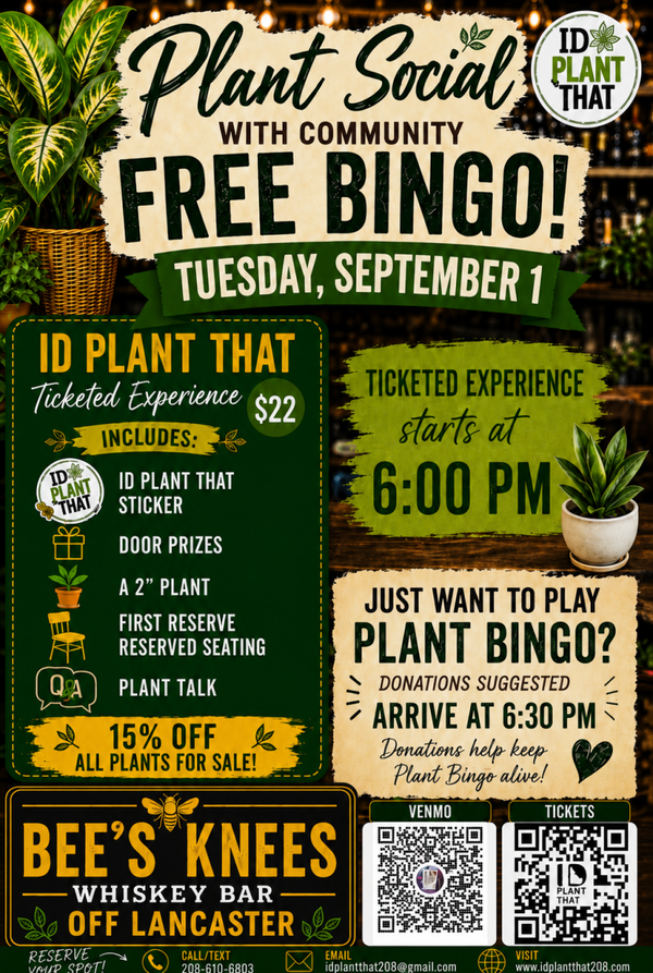Bees Knees Plant Social & Community Bingo