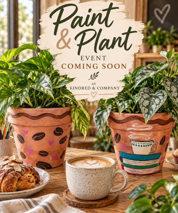 Kindred & Company Paint and Plant