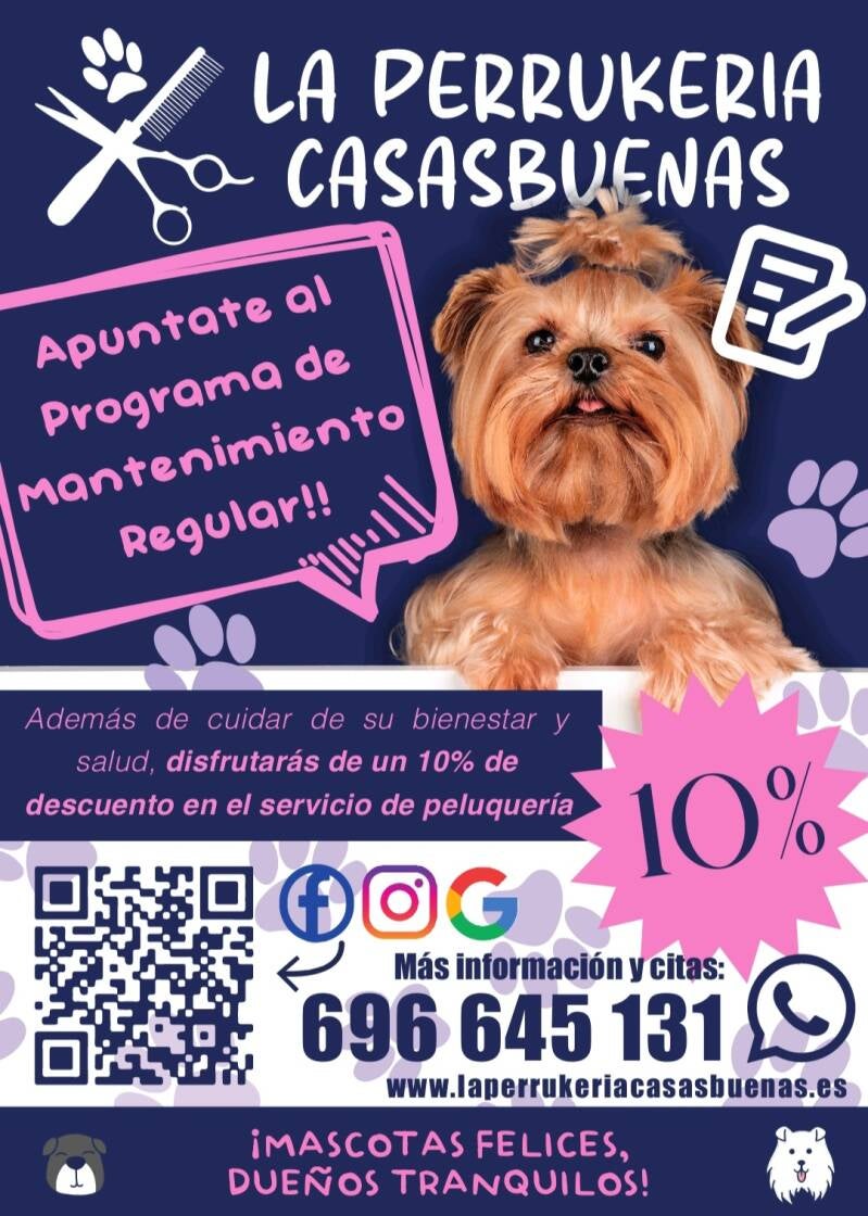 Descuentos exclusivos en Peluquería Canina
