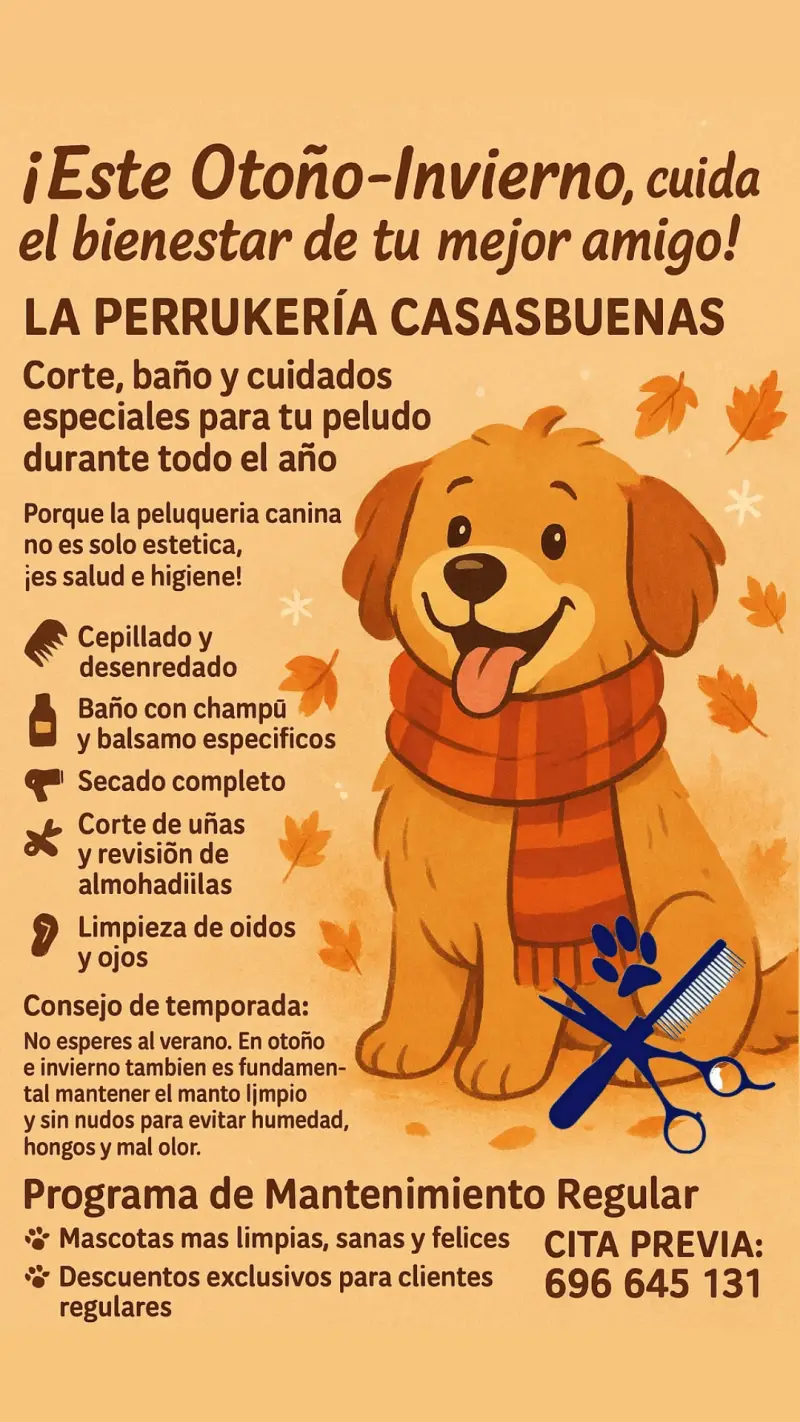 "Perru-consejos" de bienestar peludo