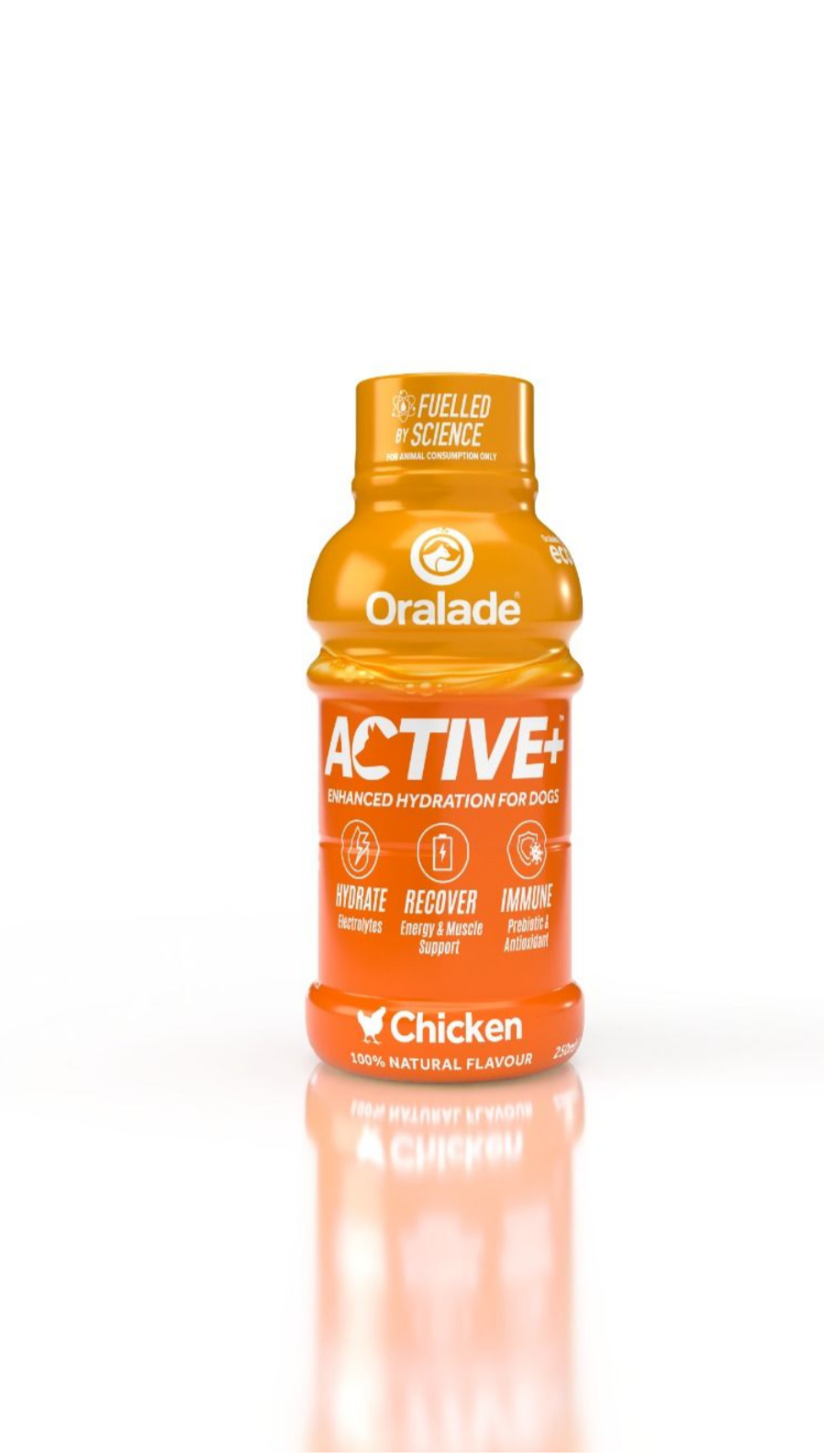 Oralade Active m. Kylling 250ml