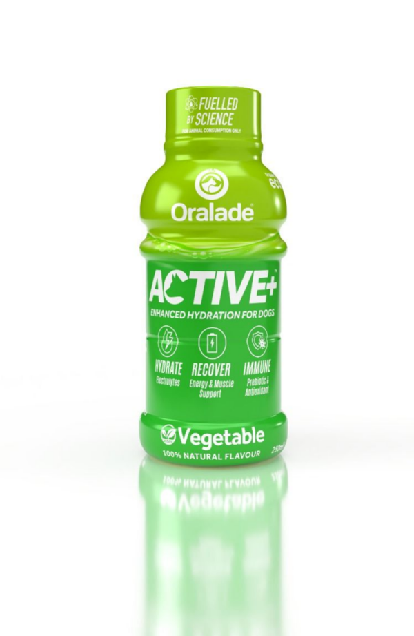 Oralade Active Veggie 250 ml