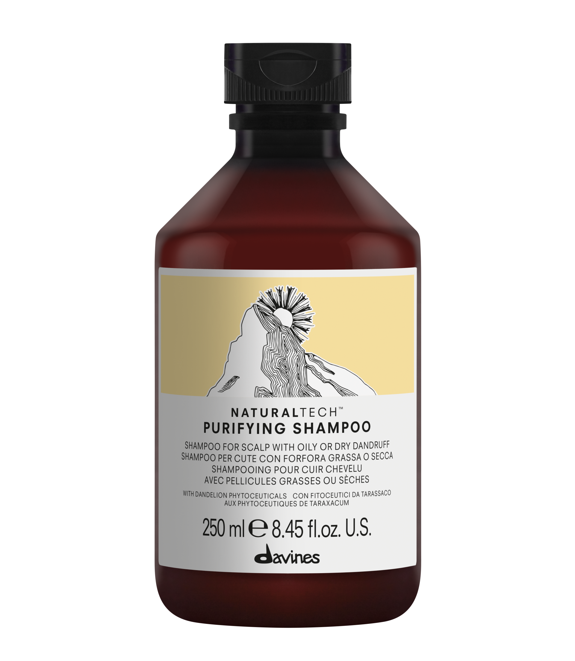 DAVINES - NATURALTECH Purifying Shampoo