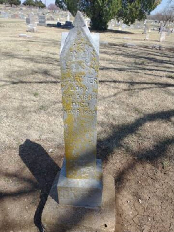 Adopt A Stone (random)
