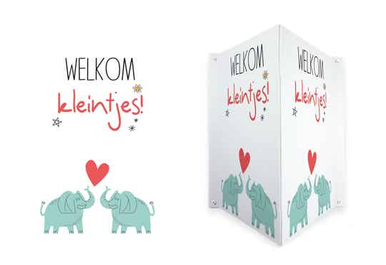 Geboortebord Tweeling Olifantjes