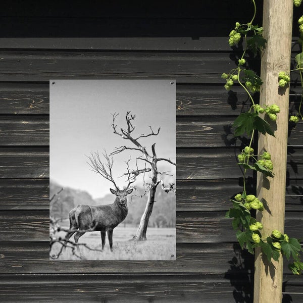 Tuinposter Hert 2