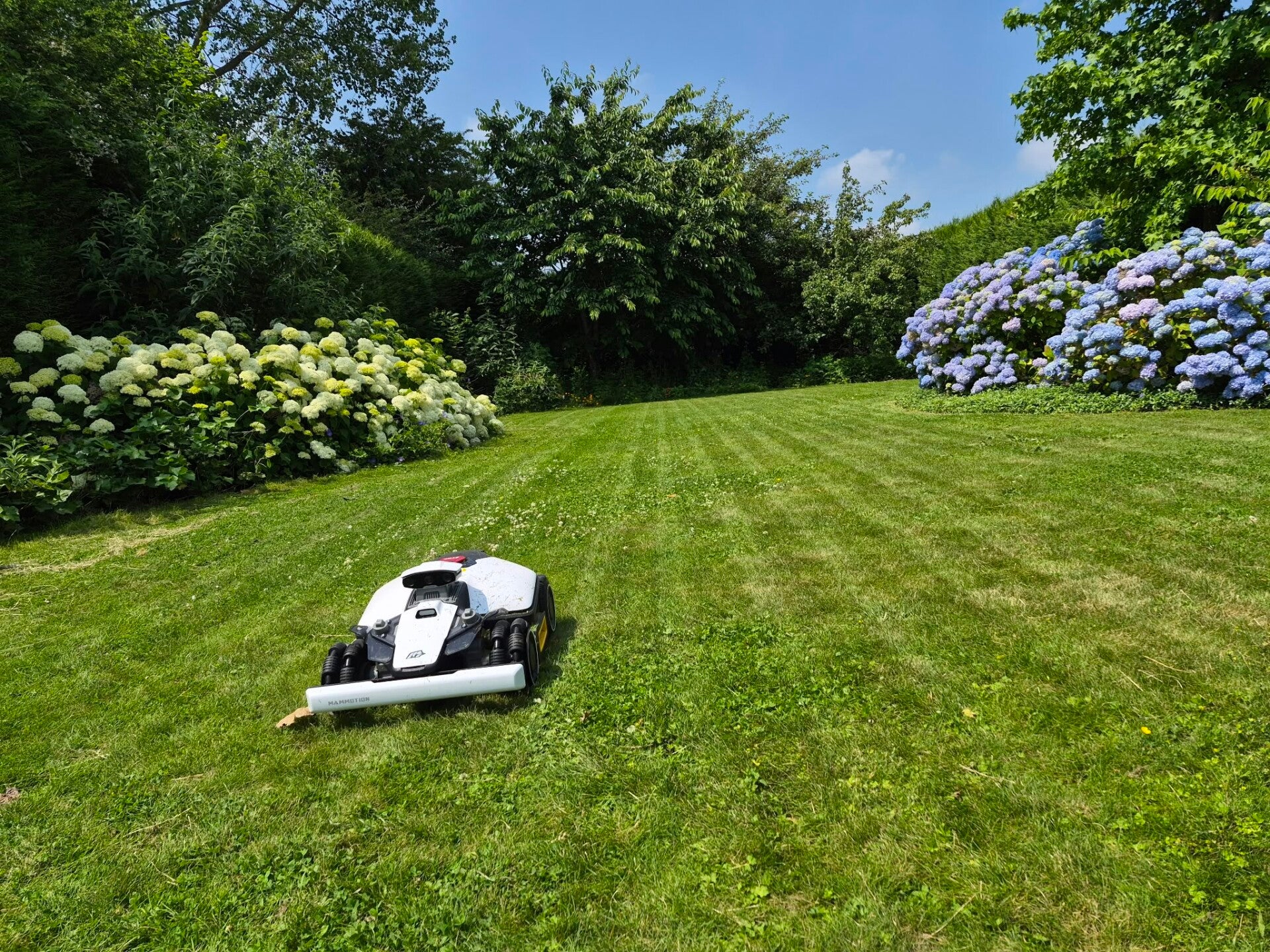 luba-1000-tuin-standard.jpg