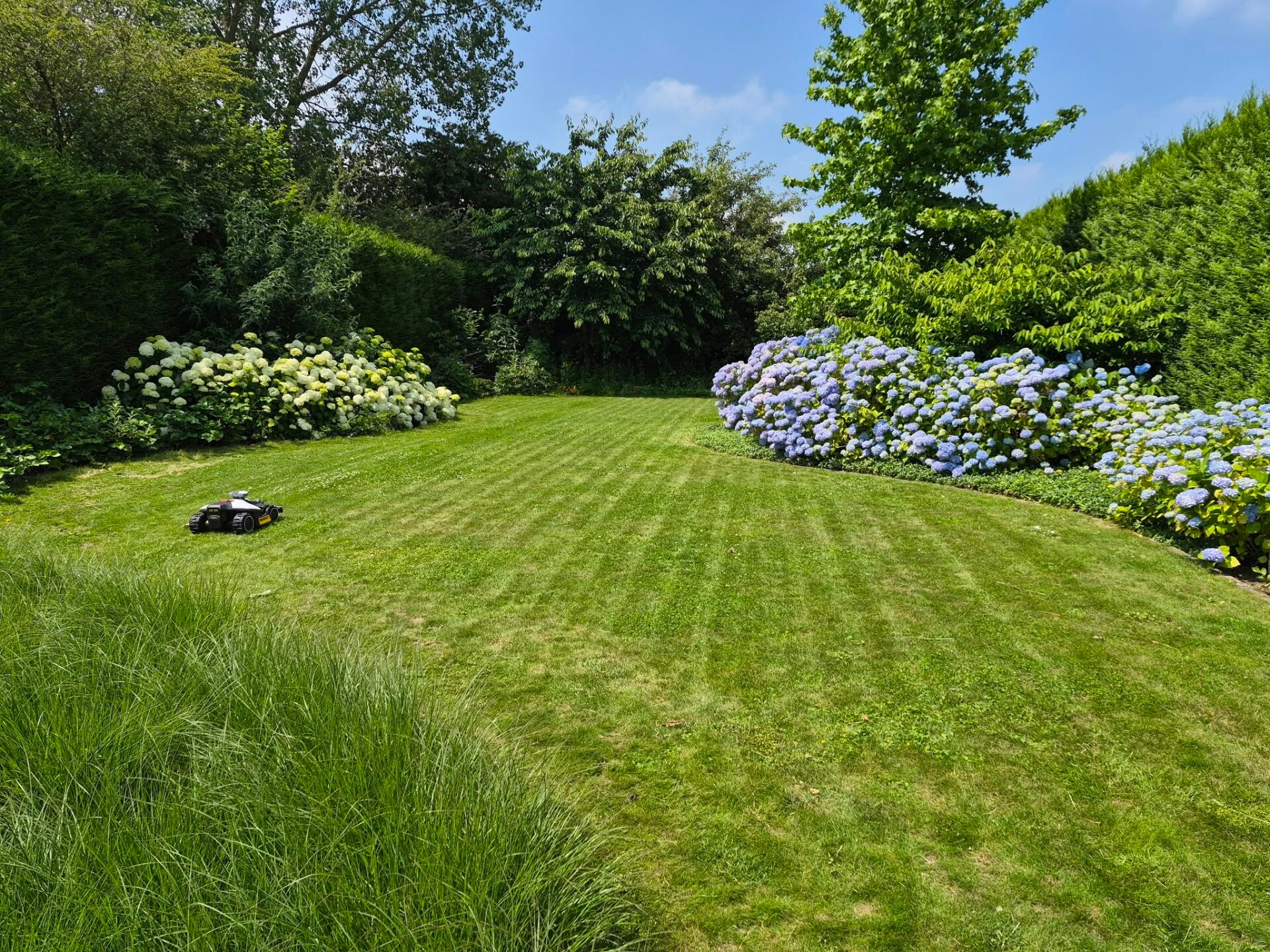 luba-1000-tuin3-standard.jpg