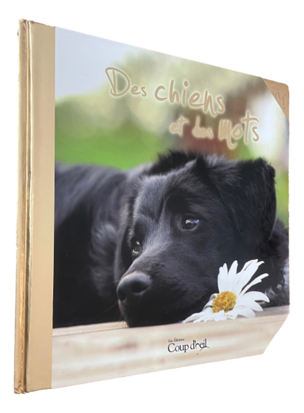 Des chiens et des mots