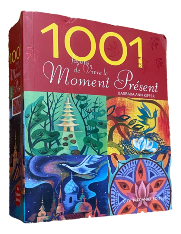 Barbara Ann Kipfer - 1001 façon de vivre le moment présent
