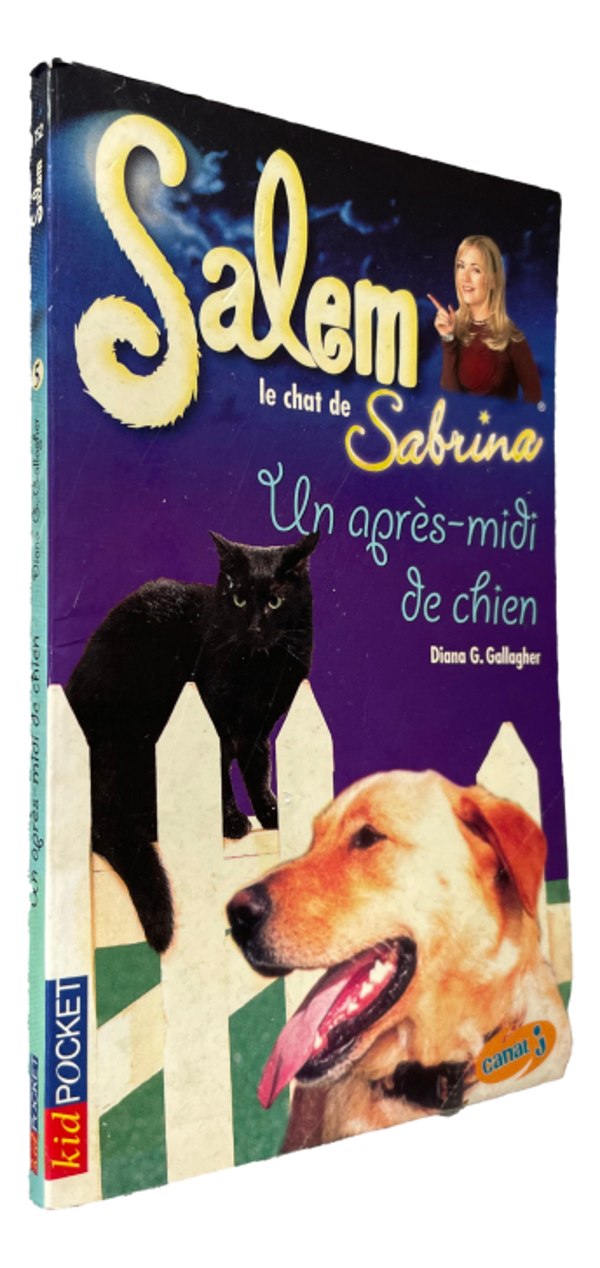 Salem - Tome 5 - Un après-midi de chien