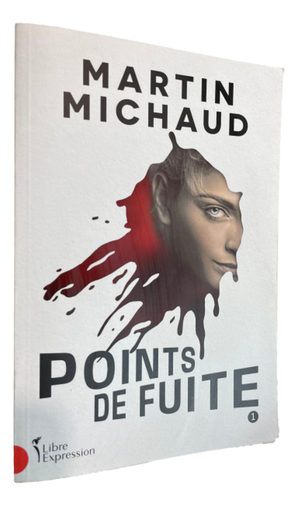 Martin Michaud - Ponits de fuite