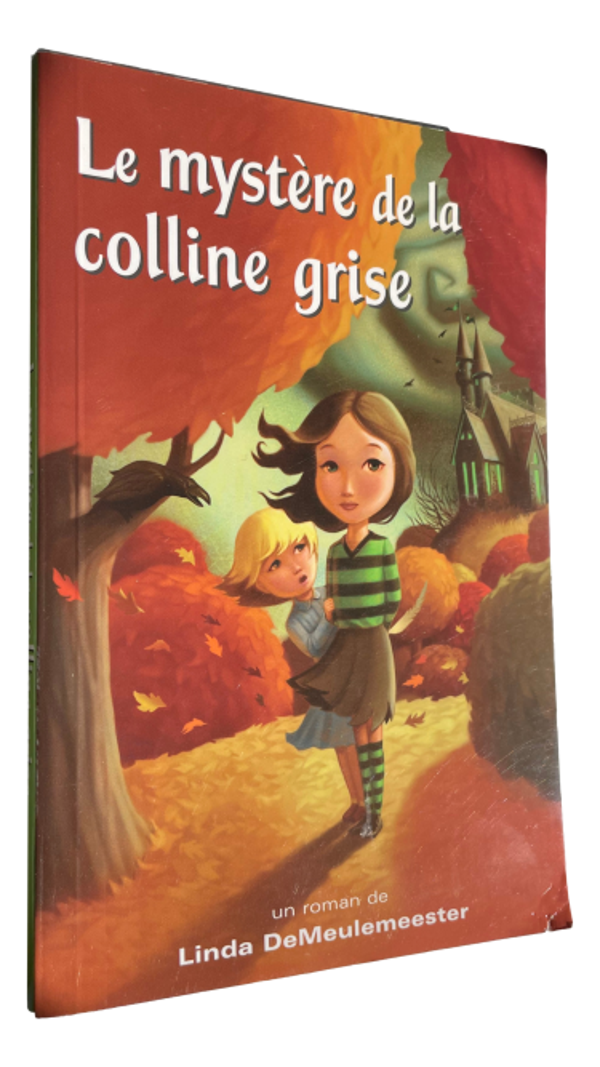 Linda DeMeulemeester - Le mystère de la colline grise