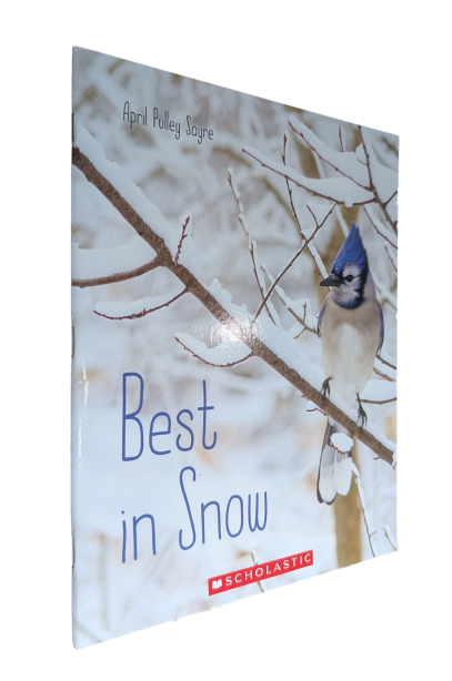 April Pulley Sayre - Best in snow