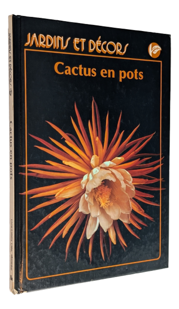 Cactus en pots