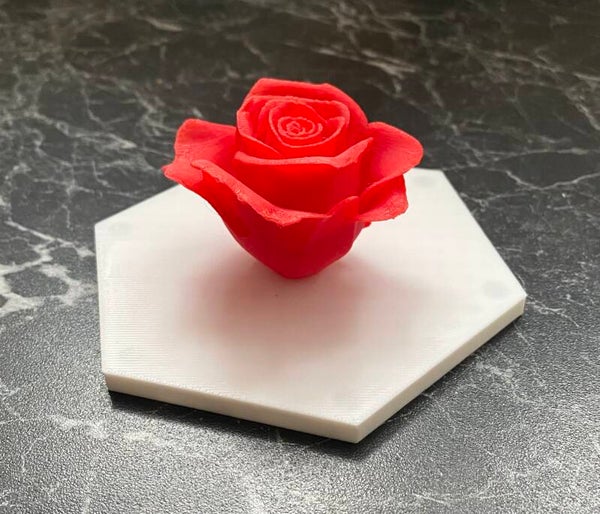 Rosendach - Weiss/Rot