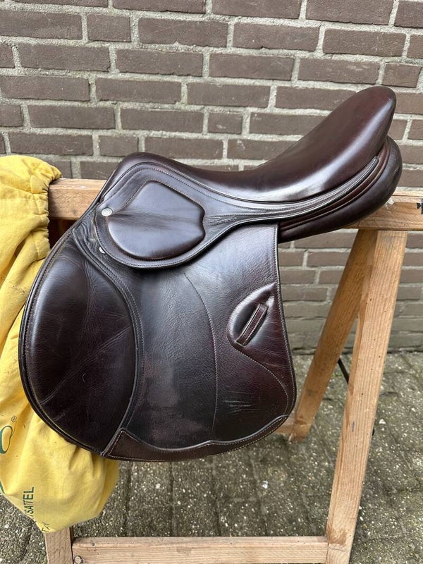 Amerigo Pinerolo 16,5 inch