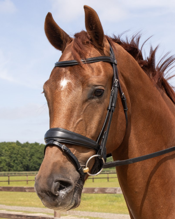 Hoofdstel Elegance