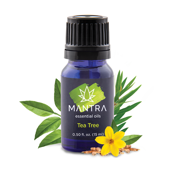 Tea tree (theeboom) 15ml