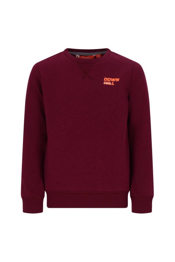 Tygo & Vito sweater rhododendron