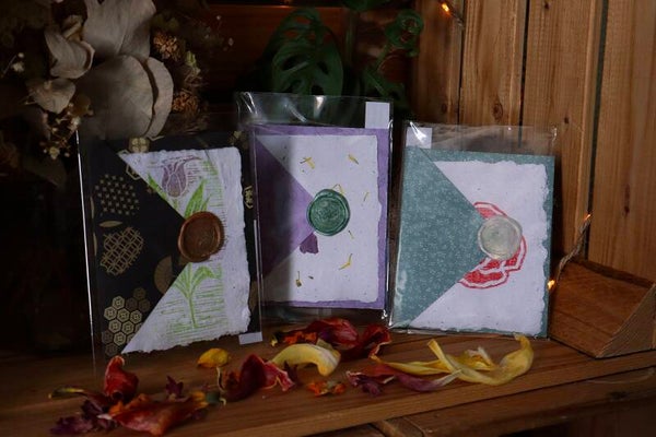 3 cartes et enveloppes A7 - Collection Oxalis