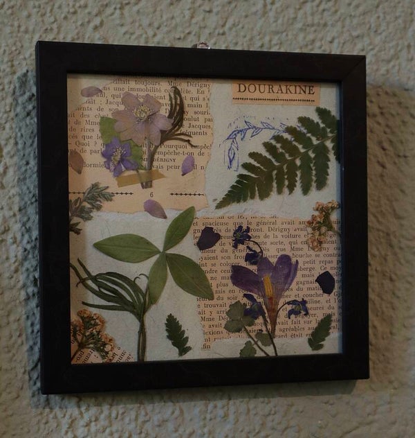 Cadre décoratif Dourakine