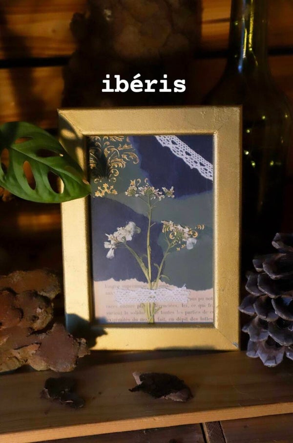 Cadre décoratif