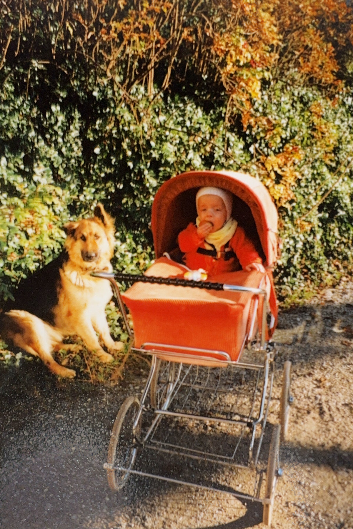 Fotos | mein leben mit dem noonan-syndrom.blog