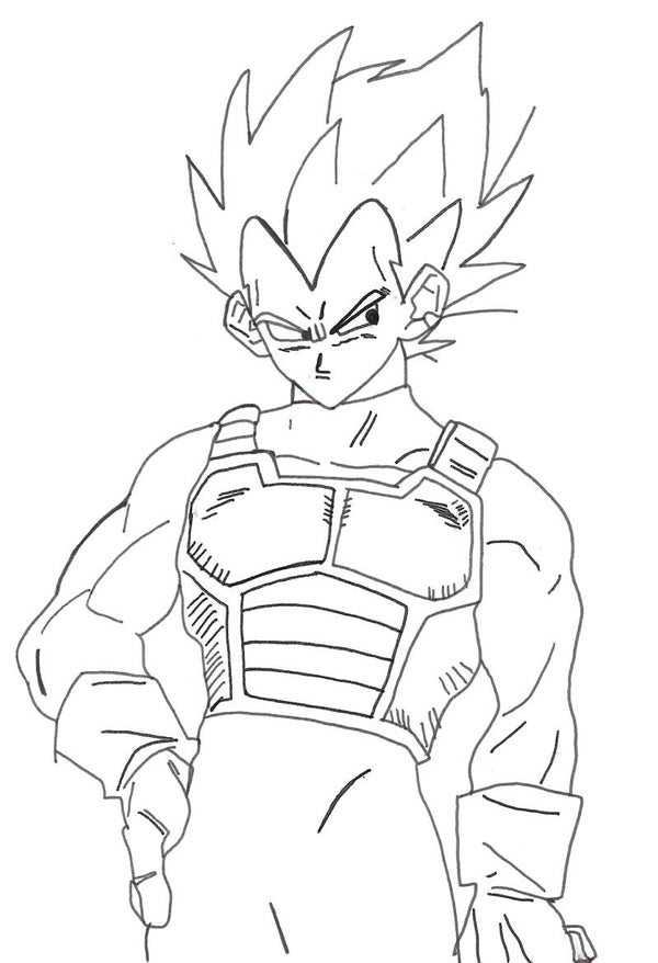Vegeta 8 by 10