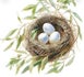 Stork's Nest Doula Services