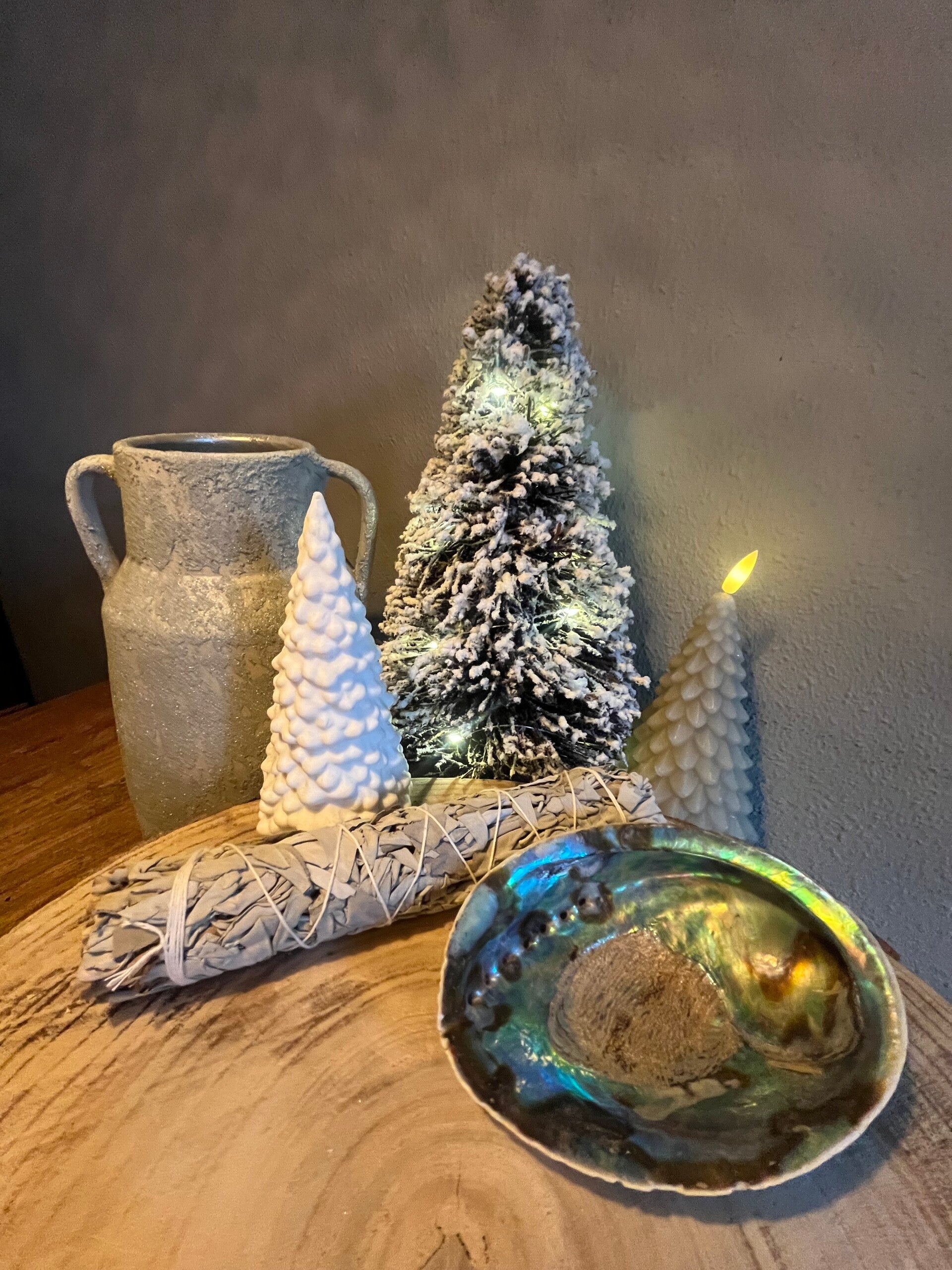 Saliebundel & Abalone Schelp – Sprankelend Reinigingsritueel voor Licht & Frisheid