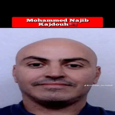 456295ddc6fe060b4ca517f3dd5d7e2e-standard.webp