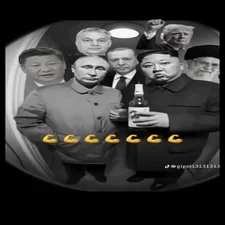 7b995093ee40309d073198fc0194313f-standard.webp